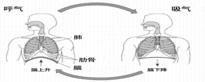 lALPD2eDaO_l6BfNARfNArQ_692_279.png